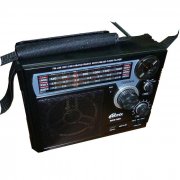 Радиоприемник RITMIX RPR-888 