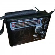  RITMIX RPR-888 