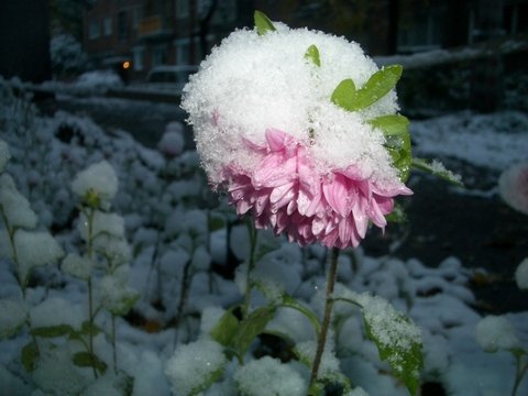 snow_02