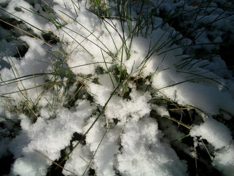 snow_04